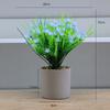 Simulación Planta Verde Planta en Maceta Decoración del Hogar Imtación Maceta de Cemento Decoración para Sala de Estar Traje de Flor Falsa de Simulación Decoración Bonsái de Escritorio