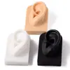 Modelo de oreja simulada transfronterizo, modelo de oreja humana de silicona suave, accesorio para la oreja, pantalla y herramienta de práctica para perforaciones de oreja