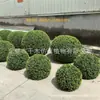 Bola de Arbusto Simulada Árvore Bola de Grama Árvore Bola de Haitong Falso Verdejamento de Estrada Choupo de Folha Pequena Choupo Phnom Penh Bola de Arbusto