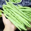 Colhidos e Enviados Frescos, Vagens Frescas de Hubei, Legumes Frescos da Fazenda, Legumes da Estação, Vagens, Feijão Verde, Feijão Vermelho, Frete Grátis