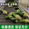 Rábano Seco para Exportación, Secado al Sol por Agricultores, Productos Secos Caseros, Guarnición Deshidratada, Rábano Verde Crujiente