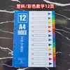 Papel con Paginación, Papel Clasificador de Hojas Sueltas, Papel Índice, 50 Páginas, 100 Páginas, A4, Plástico Gris Colorido, Separadores de Papel de 11 Agujeros