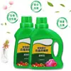 Solução Nutritiva para Plantas Fertilizante Universal para Flores Árvore da Fortuna Bambu da Sorte Pothos Hidropônico Vaso de Flor Fertilizante para Flores Plantio