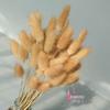 Capim rabo de coelho buquê de flores secas flor eterna simulação Flor decoração de casa tiro flor seca feno atacado simulação Feno