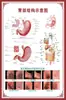 Diagrama del Esqueleto Humano, Cartel de Pared Grande, Diagrama de Órganos, Gráfico de Estructura de Órganos Internos, Gráfico de Puntos de Acupuntura, Póster del Gráfico de Anatomía Muscular Humana