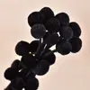 Bolas Doradas del Fabricante, Flores Naturales Reales, Materiales para Manualidades, Decoración del Hogar para la Sala de Estar, Arreglos Florales, Adornos de Flores Secas, Martillos Dorados
