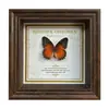 Marco de Fotos con Foto de Mariposa Real Pintura Decorativa Estilo Europeo Marco de Fotos Vintage Decoración de Mesa Adorno para Muebles Regalo de Cumpleaños Presente