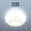 Luz Sensor Que Se Enciende Cuando Alguien Viene y Se Apaga Cuando Alguien Se Va, Luz de Techo con Sensor de Movimiento Corporal Humano por Radar Activado por Voz para Pasillo