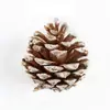 Óleo de pinho americano pinho pinho local pinho de abeto pinho lariço 1-15CM pinha flor seca decoração DIY atacado