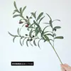 Galhos de Oliveira Artificiais com Frutos, Plantas Verdes Simuladas para Decoração de Paisagismo, Folhas de Oliveira Artificiais, Plantas Verdes Falsas para Pendurar na Parede, Flores Artificiais