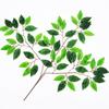 Decoração de Folha de Ficus Simulada por Atacado com Galhos Falsos, Folhas Simuladas, Folhas de Árvore de Engenharia, Folhas de Árvore Falsa