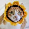 2026 Venta Caliente Verano Nuevo Delgado Lazo Collar para Perro Mascota con Flor Eterna y Lazo de Gasa para Decoración Linda