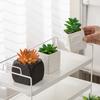 Macetas de Cerámica Modernas Simples para Suculentas Adornos Creativos Transfronterizos Jarrones Pequeños Sala de Estar Hogar Escritorio Plantas Verdes Plantas Pequeñas en Maceta