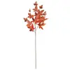 Nuevo ProductoQi Hao Arte Floral Artificial Hoja de Arce de 5 Ramas Comercio Electrónico Transfronterizo Acción de Gracias Decoración de Hoja de Arce Artificial
