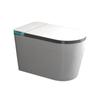 Inodoro Inteligente de Fabricación de Fábrica para Uso Doméstico, Todo en Uno, Totalmente Automático, Sin Límite de Presión de Agua, Escudo de Espuma, Inodoro con Esterilización Ultravioleta
