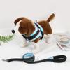 Pet Chest Strap Dog Training À prova de explosão Cão Rope Vest Dia das Crianças Desenhos Animados Corda de Tração Pequeno Médio Cão
