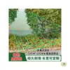 Rede de Treliça para Plantas, Rede de Treliça para Jardinagem, Rede de Suporte para Melões, Frutas, Bucha, Cabacinho, Roseiras e Cultivo de Flores Trepadeiras