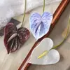 Jiamo Trompeta Flamenco Estilo INS Fabricante de Flores Artificiales Decoración del Hogar Boda Venta al por Mayor Artesanías de Flores Artificiales Transfronterizo