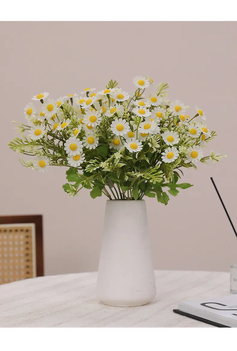 元霜春把束小雏菊_10.jpg