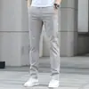 Pantalones de hombre de verano Hong Kong, finos, pierna recta, corte slim, de alta gama, modernos, versátiles, elásticos, business casual