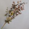 Folha de Orquídea Zizi Única Atacado Internacional Modelo de Casa Escandinava Acessórios para Arranjo de Flores de Casamento Adereços de Fotografia Flores Artificiais