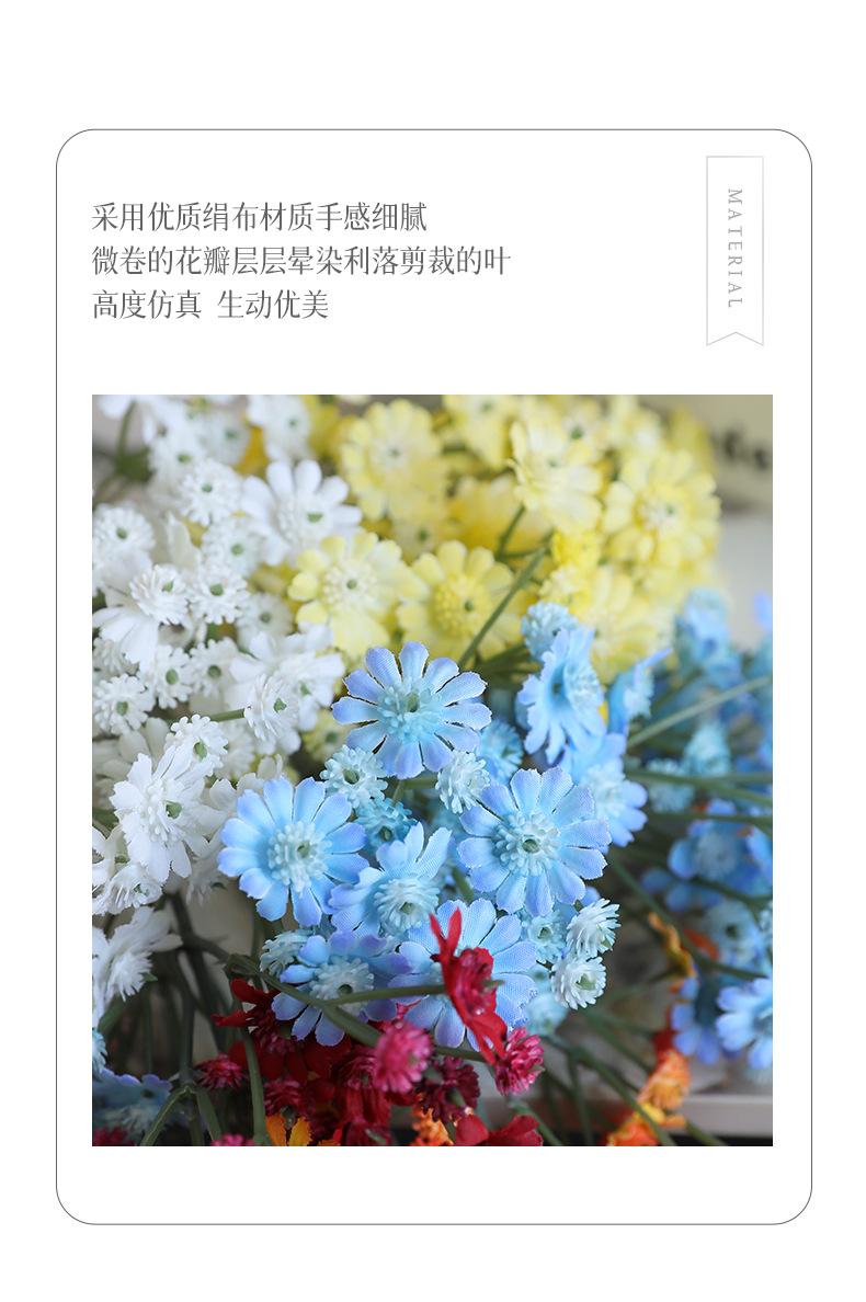 长枝3叉小雏菊_02.jpg