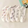 Meias Finas de Algodão Respiráveis de Cintura Baixa para Verão Feminino, Meias Cor de Pele de Seda de Vidro, Meias Curtas Fofas de Cano Curto