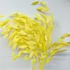 Pensamientos Pequeños Blanqueados, Flores Eternas, Flores Secas, Materiales de Flores para Manualidades, Flores Preservadas, Ramos, Flores Reales, Decoración del Hogar, Flores Hechas a Mano