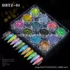 Arte de Uñas Ojos de Hada Brillo Iridiscente Láser Brillo Maquillaje de Ojos Gradiente de Brillo Destellante Polarizado 12 Colores Polvo Brillante