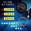 Termómetro de presión WTZ280 termómetro para caldera industrial WTQ cable de 5 m para medición de temperatura de pollo y pato, vapor, agua y aceite