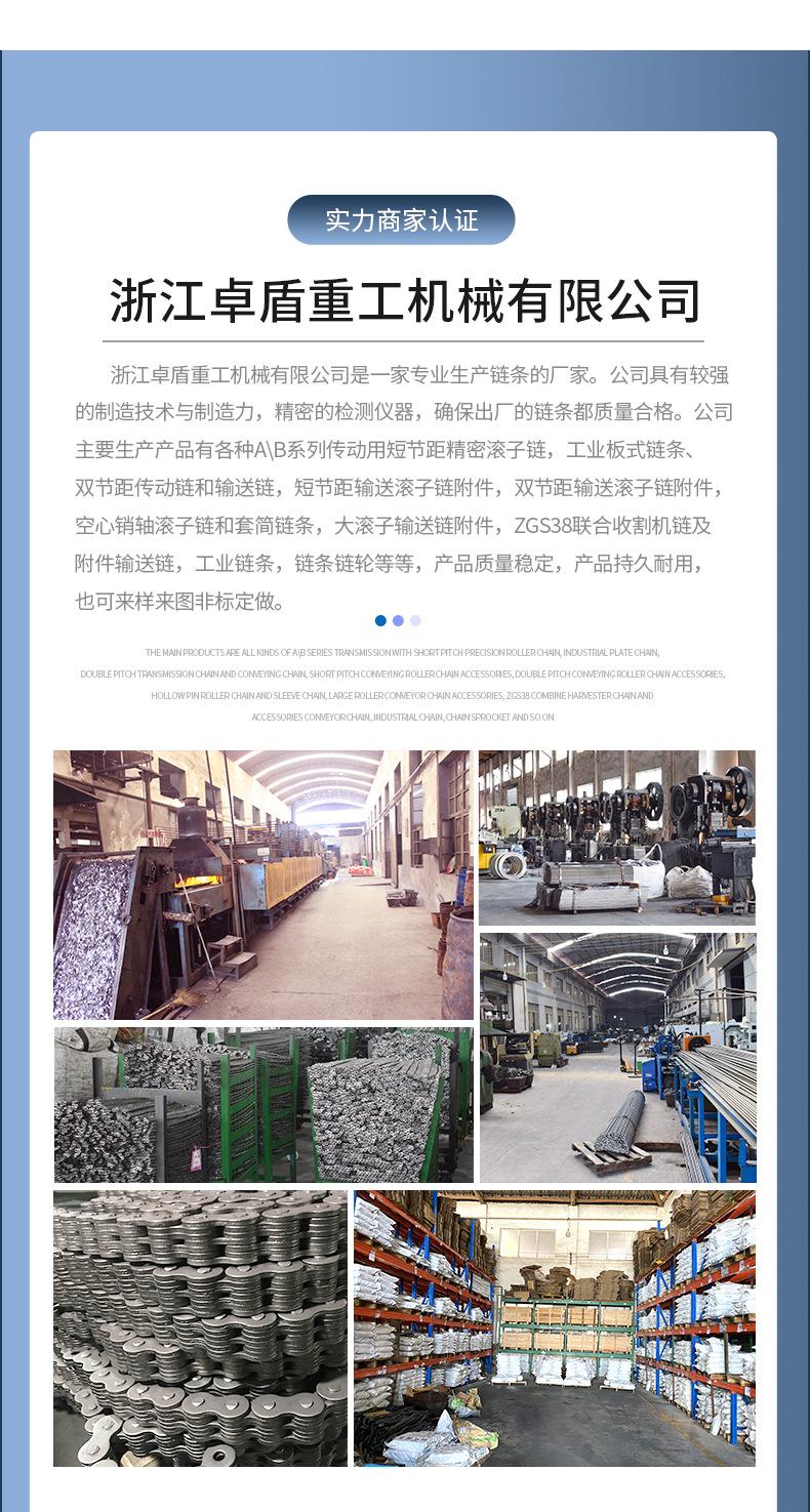 板式链LH24BL12_16