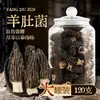 Pote Grande Cogumelos Morchella Secos 200g Especialidade de Yunnan Loja Principal Kit de Cultivo de Cogumelos Frescos Primeira Colheita Autêntico