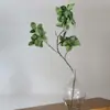 Plantas con Hojas Artificiales, Hojas de Ficus Artificiales, Decoración del Hogar, Arreglo Floral, Diseño de Maqueta de Casa, Plantas Verdes, Hojas de Clematis