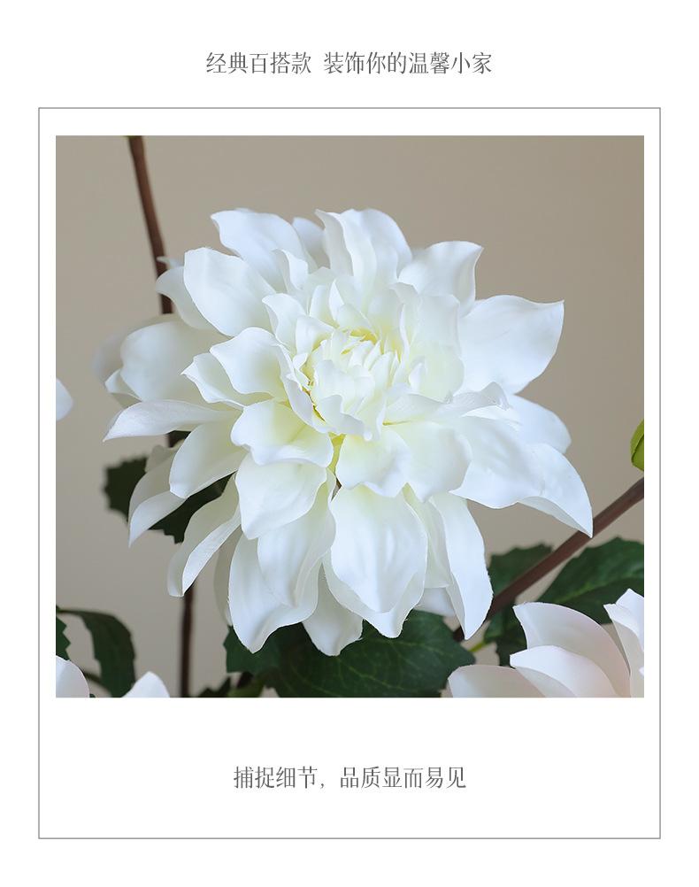 2头白月大丽花_08.jpg