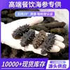 Dalian Medio de Siembra de Fondo Fuego Medio Pepino de Mar Seco Pepino de Mar Salado Pepino de Mar al por Mayor Suministro Especial para Catering de Pepino de Mar