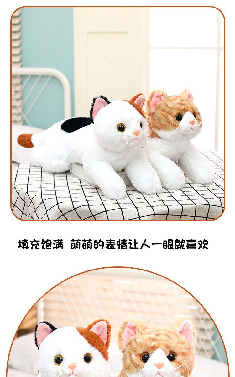 详情页_04.jpg