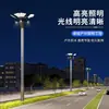 Luminária Magnólia Chinesa Poste Alto para Rua 6m Quadrado Luz de Paisagismo Estrada Municipal Parque Moderno Minimalista 7/ 8m