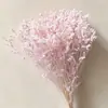 Flor Eterna Hierba de Cristal Fabricante Mayorista Transfronterizo DIY Cúpula de Cristal Boda Materiales Florales Festival Qixi Flores Reales