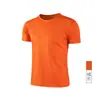 Camiseta de Seda de Hielo de Secado Rápido de Color Puro de Manga Corta para Hombre con Logo Impreso Camiseta Cultural Publicitaria para Hombre Camiseta de Cuello Redondo para Hombre Ropa de Trabajo