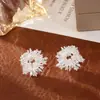 Brilhantes Brincos de Pérola Fogos de Artifício Moda Alto Padrão Zircônia Microincrustada Exquisitos Versáteis Estilo Ocidental Acessórios de Fada