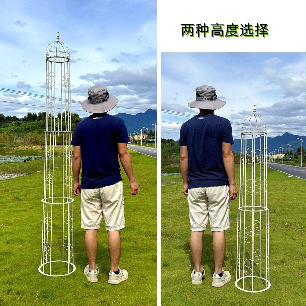 IMG_06711_副本_副本