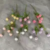 Simulación 5 Cabezas Color Primavera Bola de Diente de León Crisantemo Boda Decoración del Hogar Ramo Decoración Suave Accesorios para Fotografía Flores Artificiales Flores de Comercio Exterior