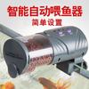 Alimentador automático para acuario, alimentador automático para peces de colores, koi, temporizador inteligente, alimentador automático para peces.