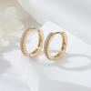 Brincos Pequenos de Zircônia em Círculo para Mulheres Primavera High-End Luxo Acessível Design Nicho Brincos 2024 Nova Tendência