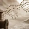 227438 Adorno de Encaje Bordado de Malla, Exquisito Diseño Perforado para Accesorios de Decoración de Dobladillo de Ropa para Mujer y Niños