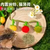 Brinquedo para gato tomate com fio teaser, brinquedo mastigável durável para gato, gadget autoentretenedor para alívio do tédio com guizo, brinquedo para gato, suprimentos para gato