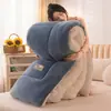 Núcleo de Edredom Quente de Veludo Flocado de Floco de Neve para Inverno, Edredom Espesso de Lã de Cordeiro de Inverno para Dormitório Estudantil, Edredom Espesso de Fleece de Veludo Leite