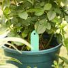 Anillo floral carnoso al por mayor con etiqueta de agujero, tapón, etiqueta de plástico impermeable para plantas, letrero de plástico PVC
