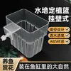 Maceta hueca pecera hidropónica canasta de plantación hidropónica taza para cultivar plantas acuáticas cesta hidropónica transparente engrosada de montaje en pared para uso doméstico