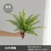 Simulación de Diseño de Sistema Zen Forest Helecho Planta de Hoja Persa Planta de Interior Simulación Decoración de Pared de Planta Espárrago de Simulación